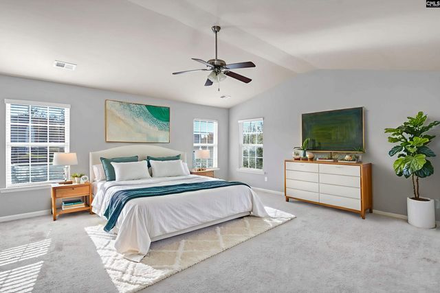 869 Sunseeker Drive, Chapin, SC 29036