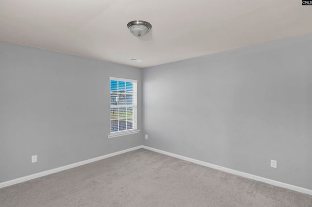 869 Sunseeker Drive, Chapin, SC 29036