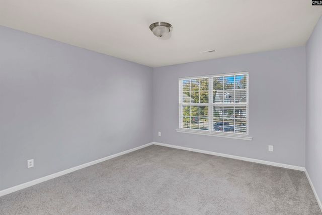 869 Sunseeker Drive, Chapin, SC 29036