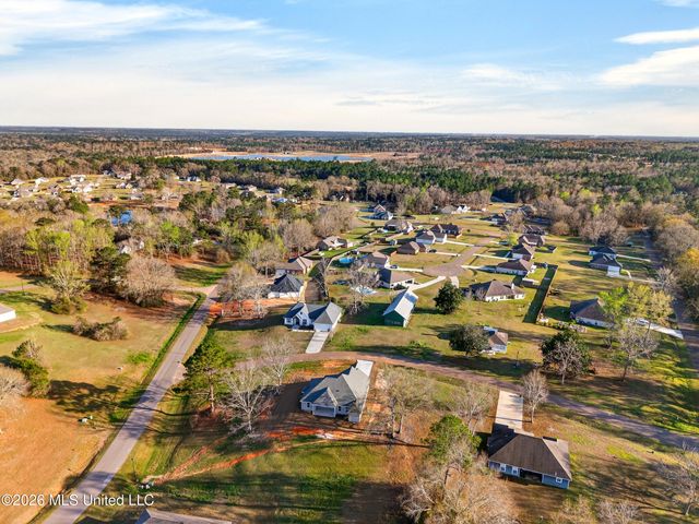 6 Sassafras Drive, Carriere, MS 39426