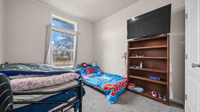 1318 Garfield Street, Loma, CO 81524