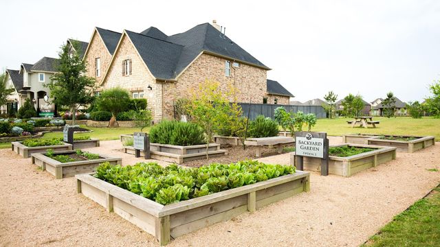 3215 Golden Pomelo Drive, Richmond, TX 77406