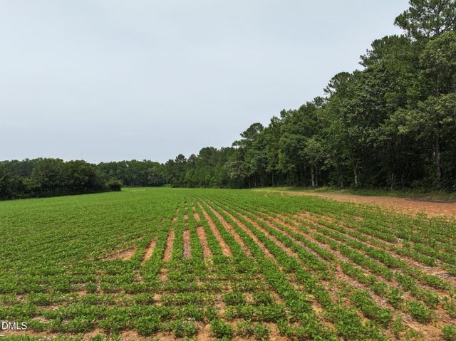 Lot 4 Claude Lewis Road, Middlesex, NC 27557