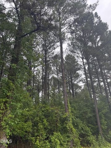 Lot 4 Claude Lewis Road, Middlesex, NC 27557