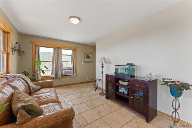 569 Gordon Court, Livermore, CO 80536