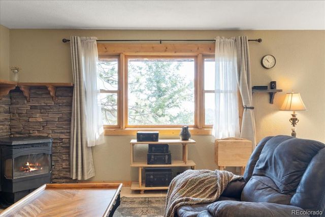 569 Gordon Court, Livermore, CO 80536