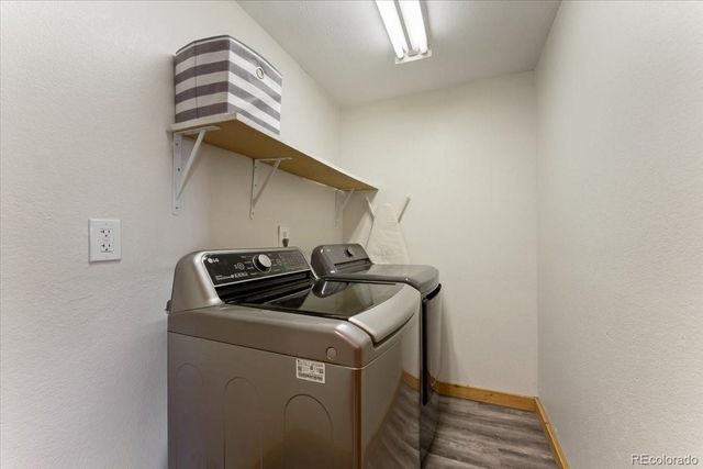 569 Gordon Court, Livermore, CO 80536