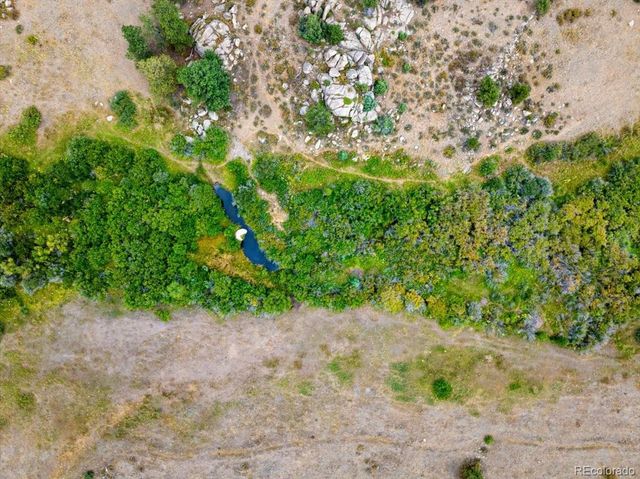 569 Gordon Court, Livermore, CO 80536