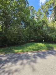 0 Bourgeois Forest Drive, Houston, TX 77066