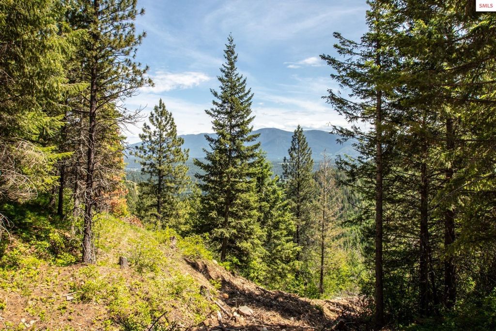 69 Boreal Way, Bonners Ferry, ID 83805 photo 17