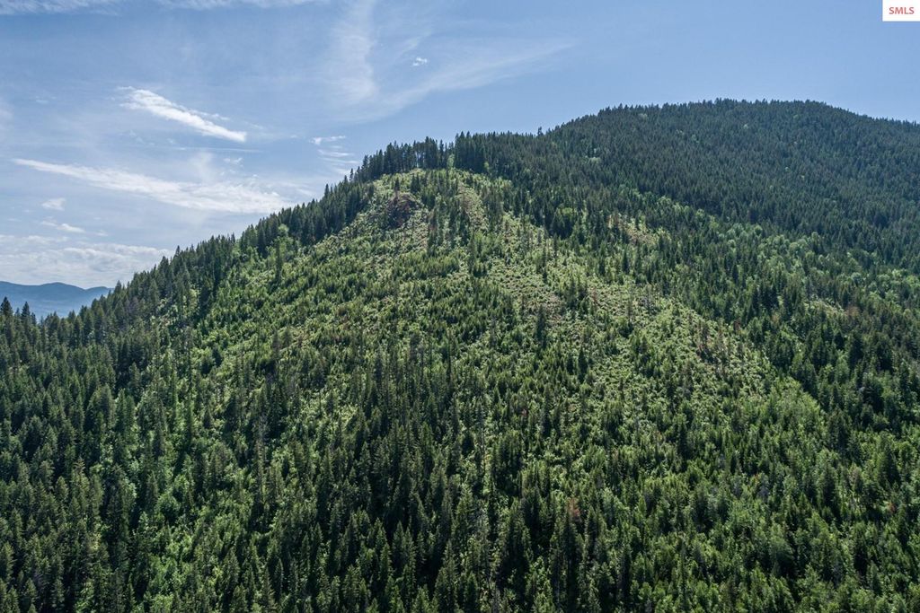 69 Boreal Way, Bonners Ferry, ID 83805 photo 40