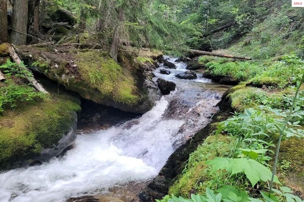 69 Boreal Way, Bonners Ferry, ID 83805 photo 5