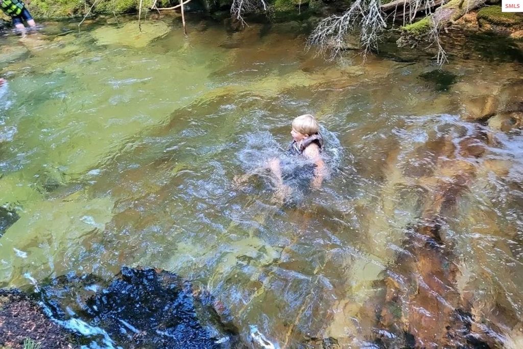 69 Boreal Way, Bonners Ferry, ID 83805 photo 6