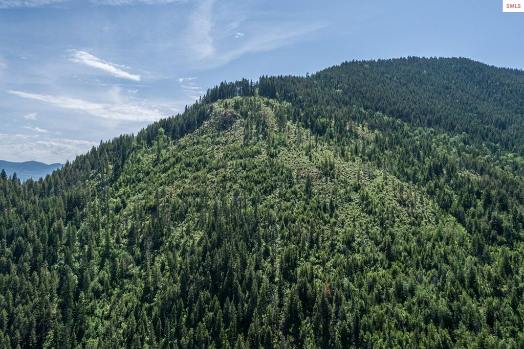 69 Boreal Way, Bonners Ferry, ID 83805 photo 9