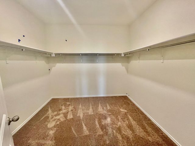 163 McGinnis TRL, Kyle, TX 78640
