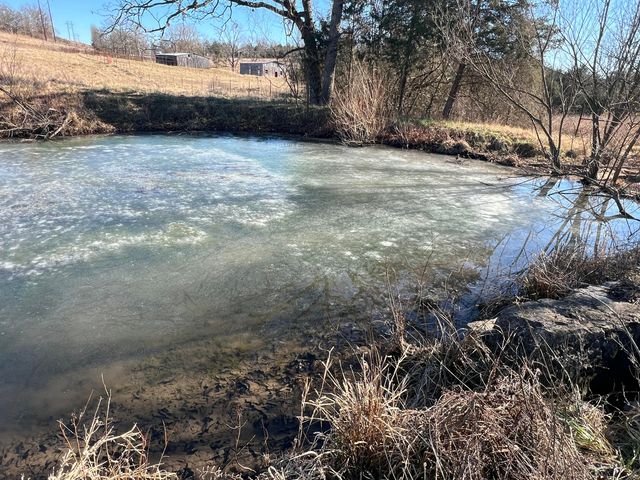 123 Fossil Cove Road, Cape Fair, MO 65624