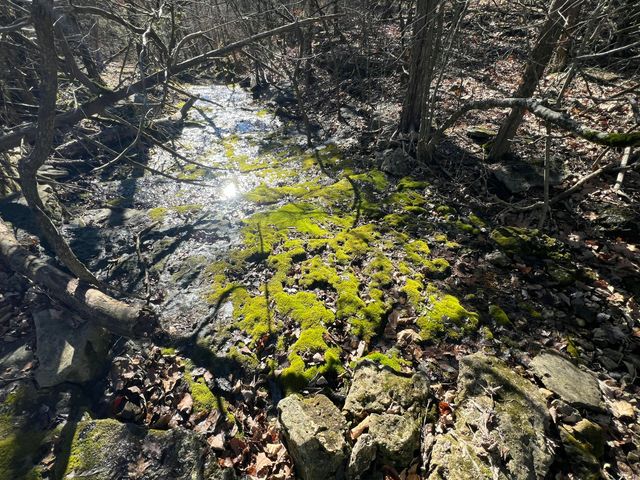 123 Fossil Cove Road, Cape Fair, MO 65624