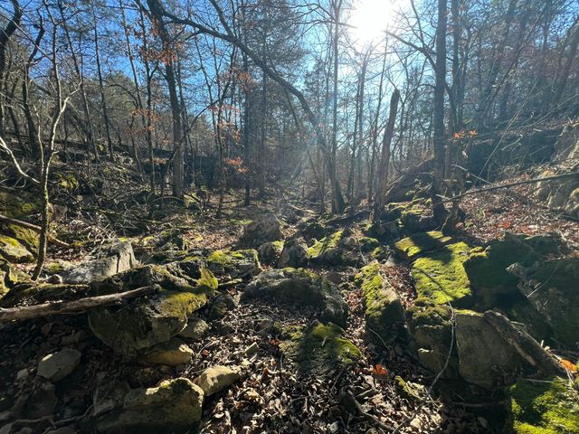 123 Fossil Cove Road, Cape Fair, MO 65624