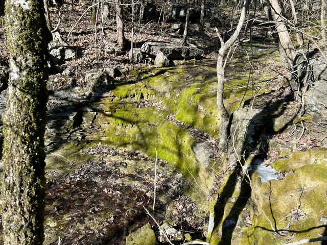 123 Fossil Cove Road, Cape Fair, MO 65624