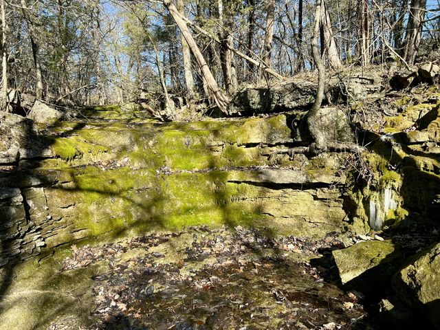 123 Fossil Cove Road, Cape Fair, MO 65624