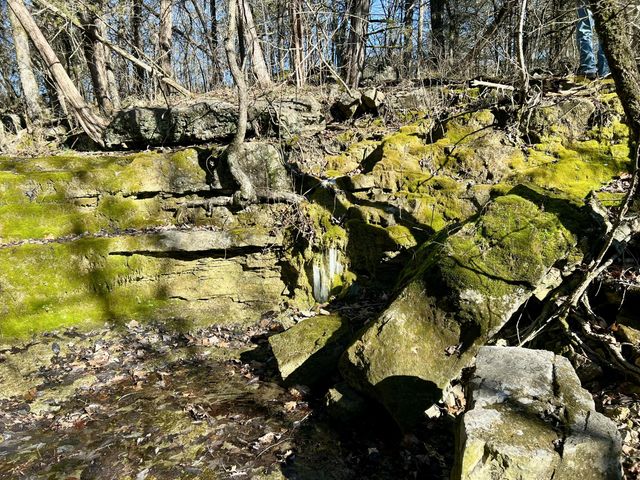 123 Fossil Cove Road, Cape Fair, MO 65624