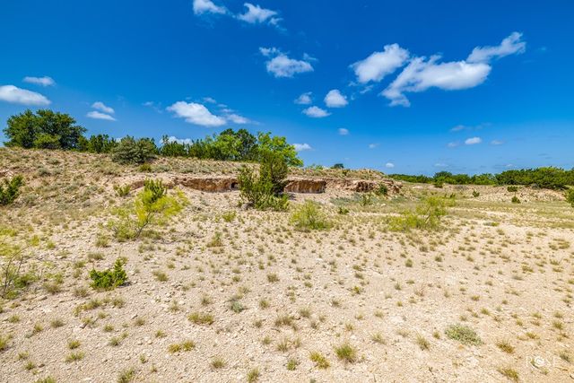 6873 Green Oaks Dr, Christoval, TX 76935