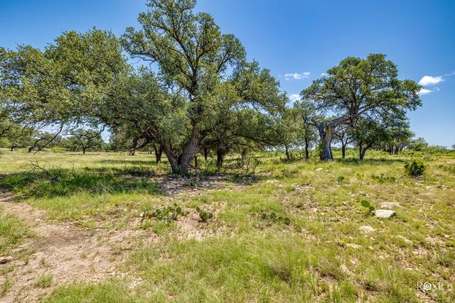 6873 Green Oaks Dr, Christoval, TX 76935