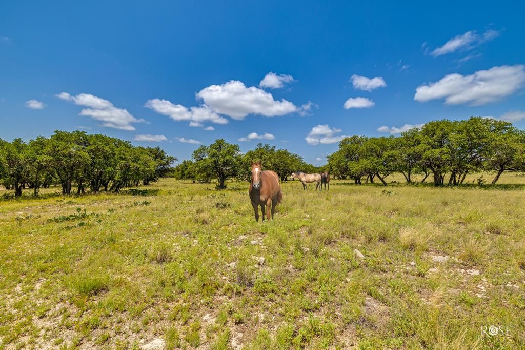 Image 52 of property listing at 6873 Green Oaks Drive, Christoval, TX 76935