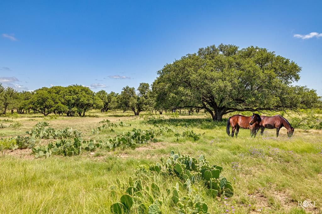 Image 53 of property listing at 6873 Green Oaks Drive, Christoval, TX 76935