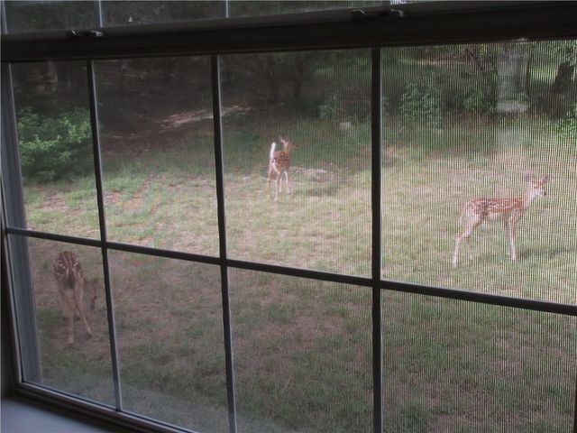 2405 Farragret CV, Lago Vista, TX 78645