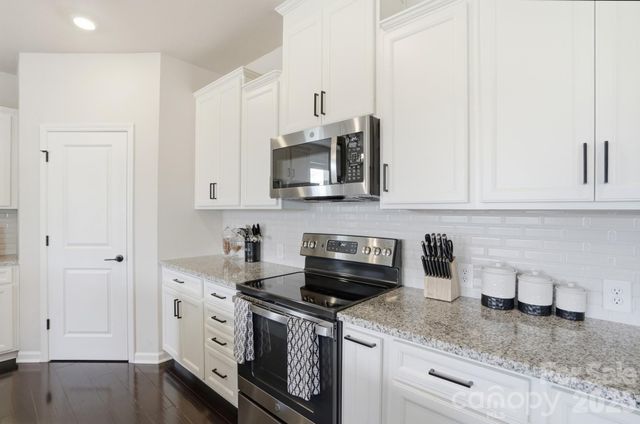 16043 River Tree Lane, Charlotte, NC 28278