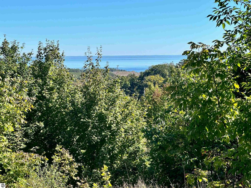 Lush green foliage framing a panoramic view of Grand Traverse Bay and Lake Michigan from a high-elevation parcel in Suttons Bay, MI, showcasing the scenic beauty and development potential of the 74.2-acre property.
