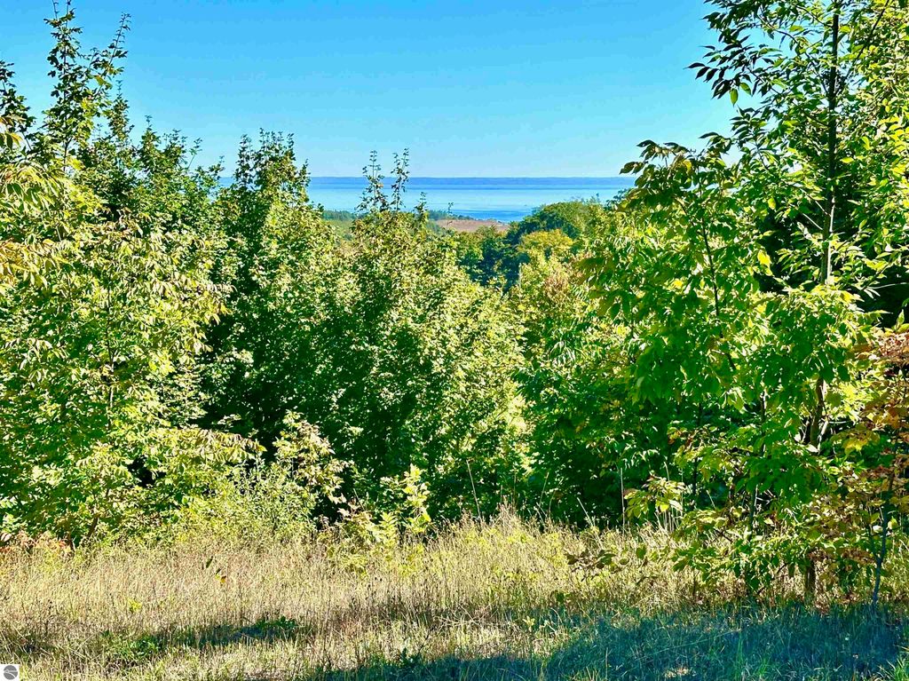 Lush greenery framing expansive water views of Grand Traverse Bay, showcasing the scenic beauty and development potential of the 74.2-acre parcel in Suttons Bay, MI.