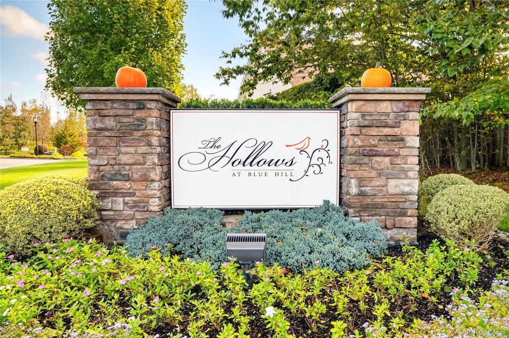 6201 Fred Ill Jr Court, Pearl River, NY 10965
