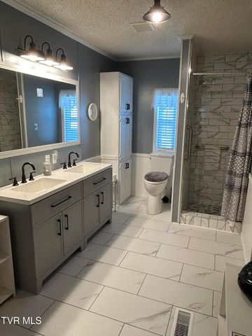 639 Bailey Bridge Road, Limestone, TN 37681