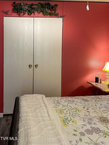 639 Bailey Bridge Road, Limestone, TN 37681