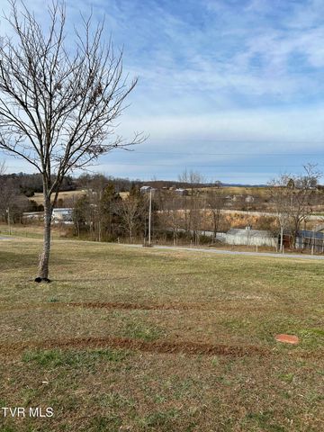 639 Bailey Bridge Road, Limestone, TN 37681
