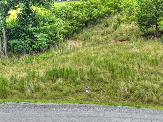 LOT 42 Big Valley Overlook, Morganton, GA 30560