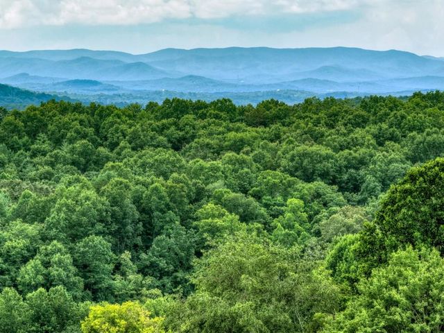 LOT 42 Big Valley Overlook, Morganton, GA 30560