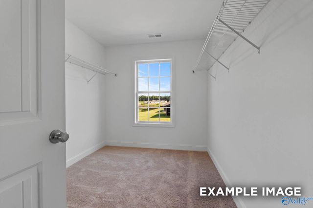 124 Bella May Lane, New Market, AL 35761