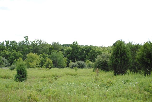 3190 Luna Drive, Dexter, MI 48130