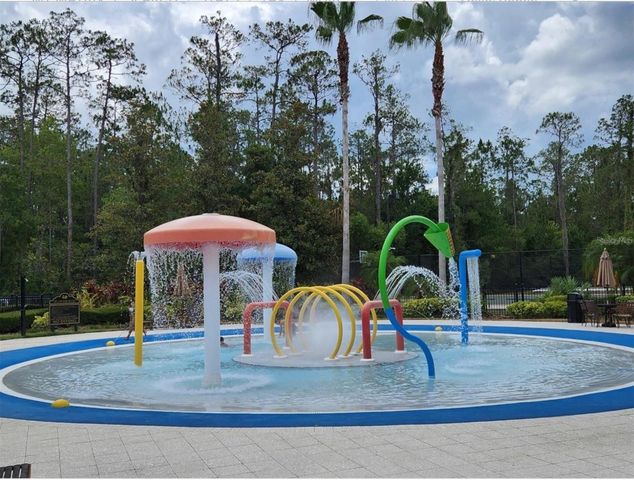 3901 SILVERLAKE WAY, Wesley Chapel, FL 33544