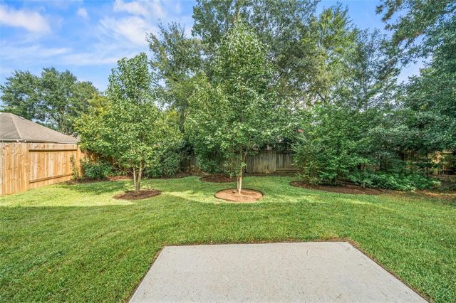 10 Orchid Grove Place, The Woodlands, TX 77385