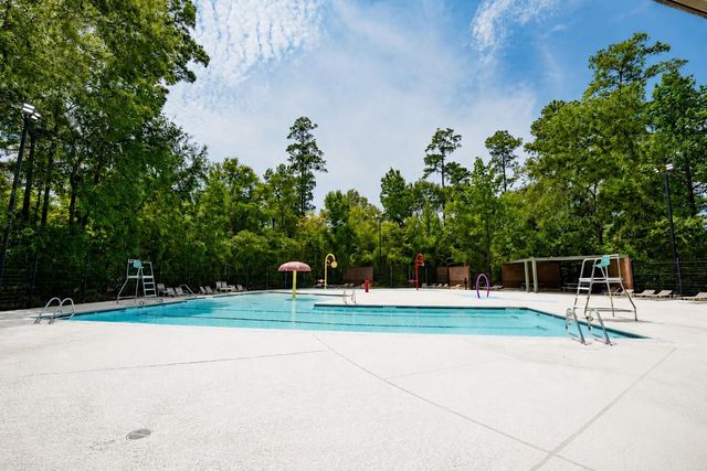 10 Orchid Grove Place, The Woodlands, TX 77385