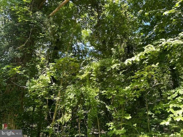 605 UPLAND RD, Pikesville, MD 21208