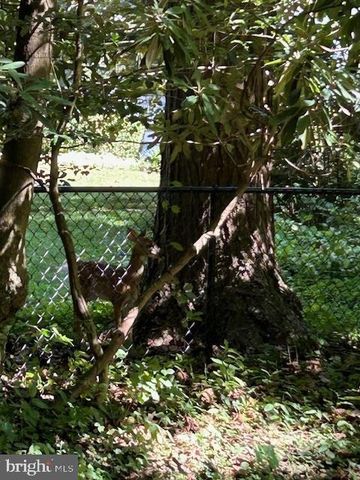 605 UPLAND RD, Pikesville, MD 21208