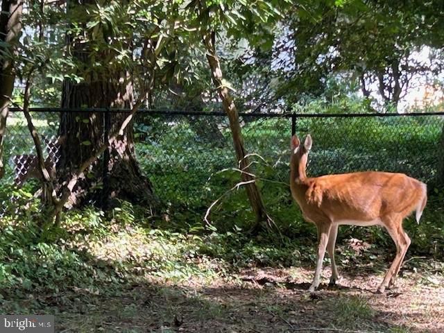 605 UPLAND RD, Pikesville, MD 21208