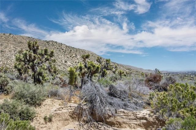 54129 Pinon, Yucca Valley, CA 92284