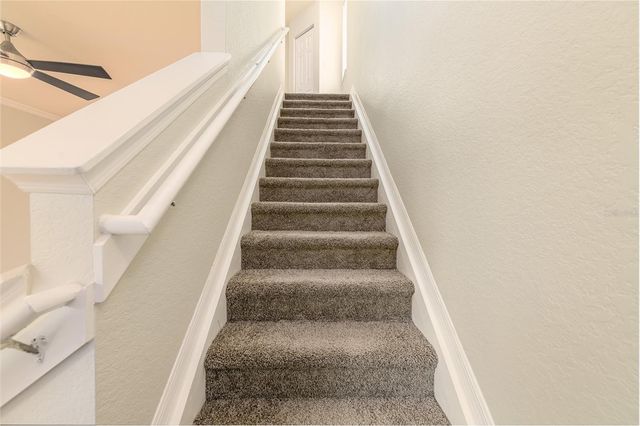 112 BEACH HAVEN LANE 112, Tampa, FL 33609