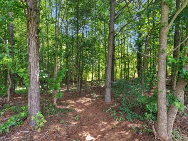 145 Michael Lane, Mcdonough, GA 30252